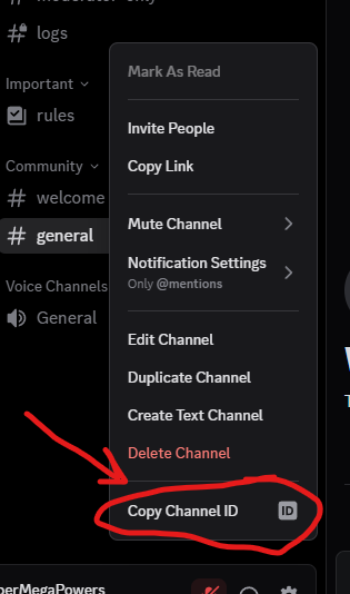 Red arrow pointing to button that says "Copy Channel ID"